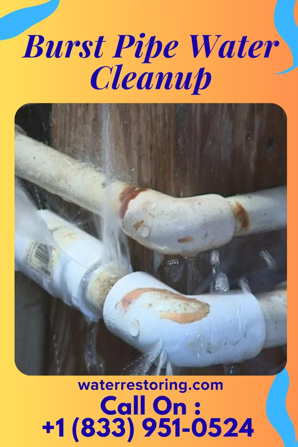 Burst Pipe Water Cleanup in Fort Oglethorpe, GA