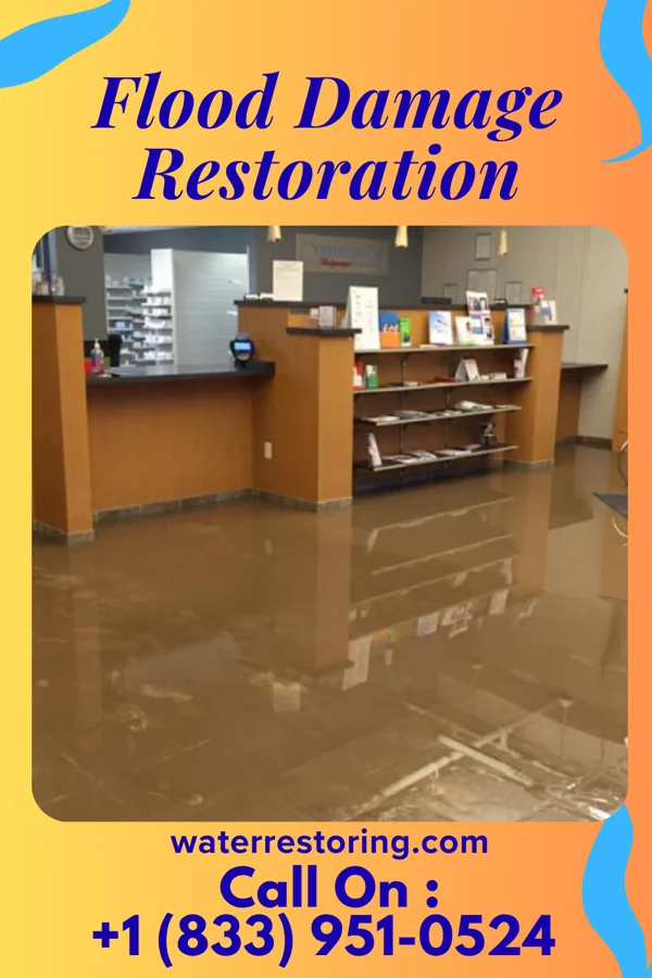 Flood Damage Restoration in Fort Oglethorpe, GA