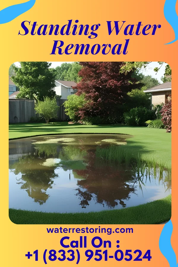 Standing Water Removal in Fort Oglethorpe, GA